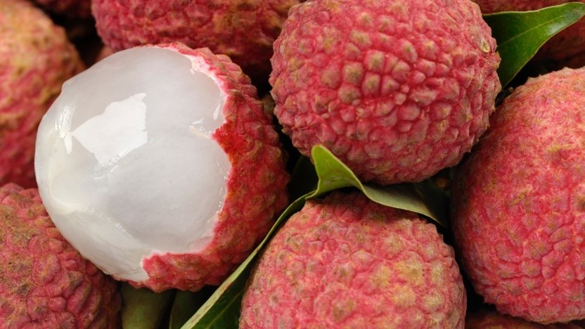 Bea litchi 97.jpg